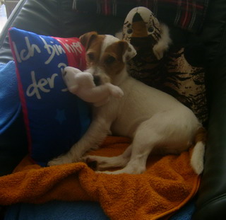 Hugo 27. 06. 2005 Hugo 27. 06. 2005